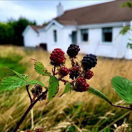Cathleen'S Cottage Ньюри Экстерьер фото
